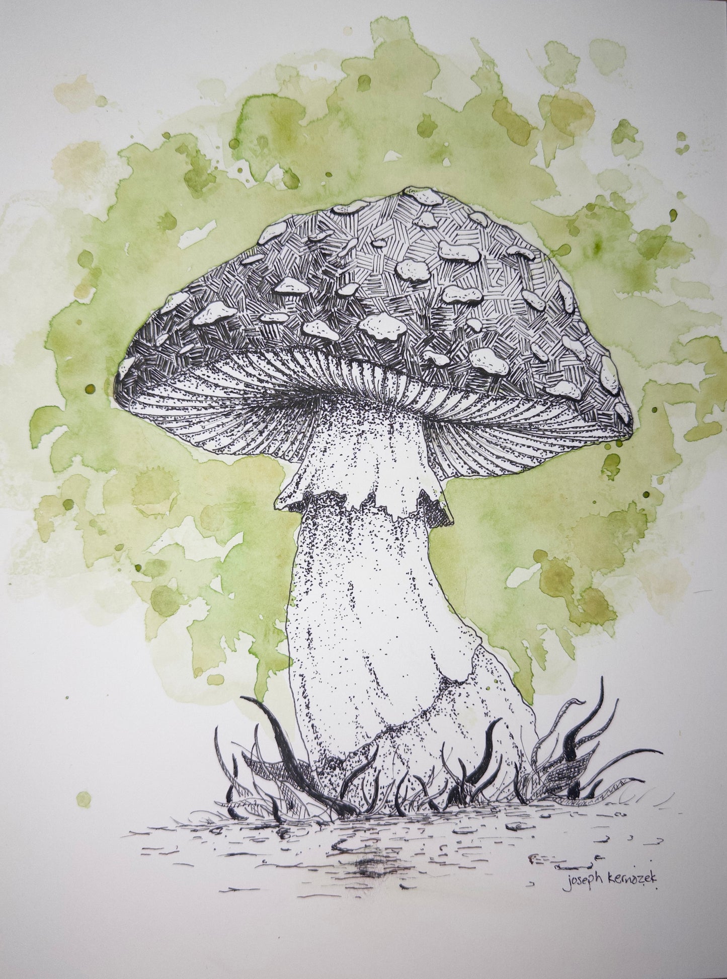 Mushroom
