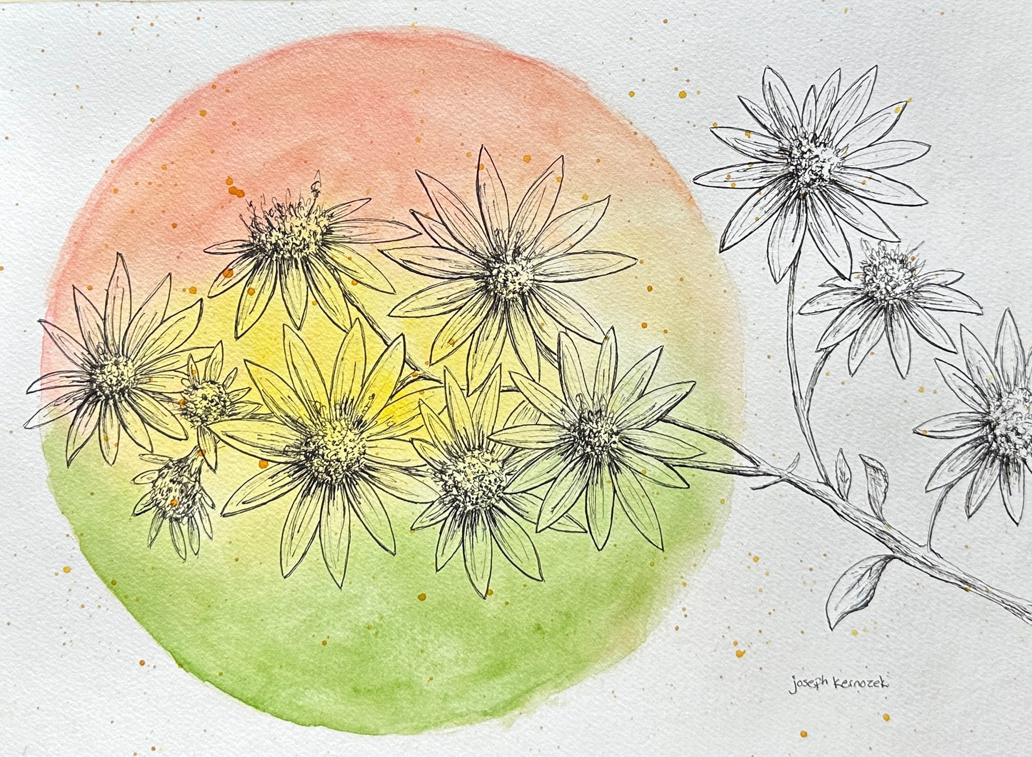 Flowers in Fall