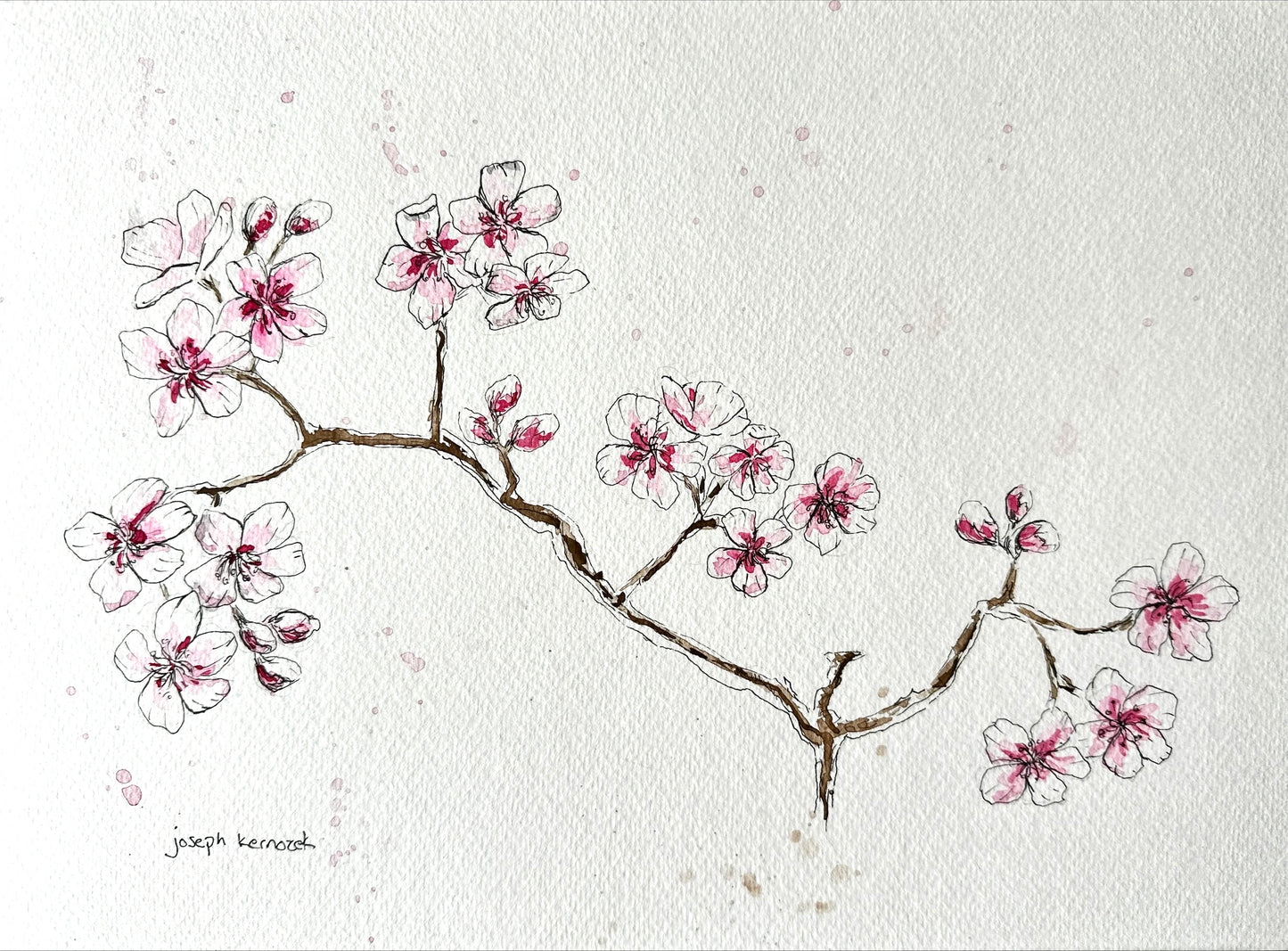 Cherry Blossom Branch