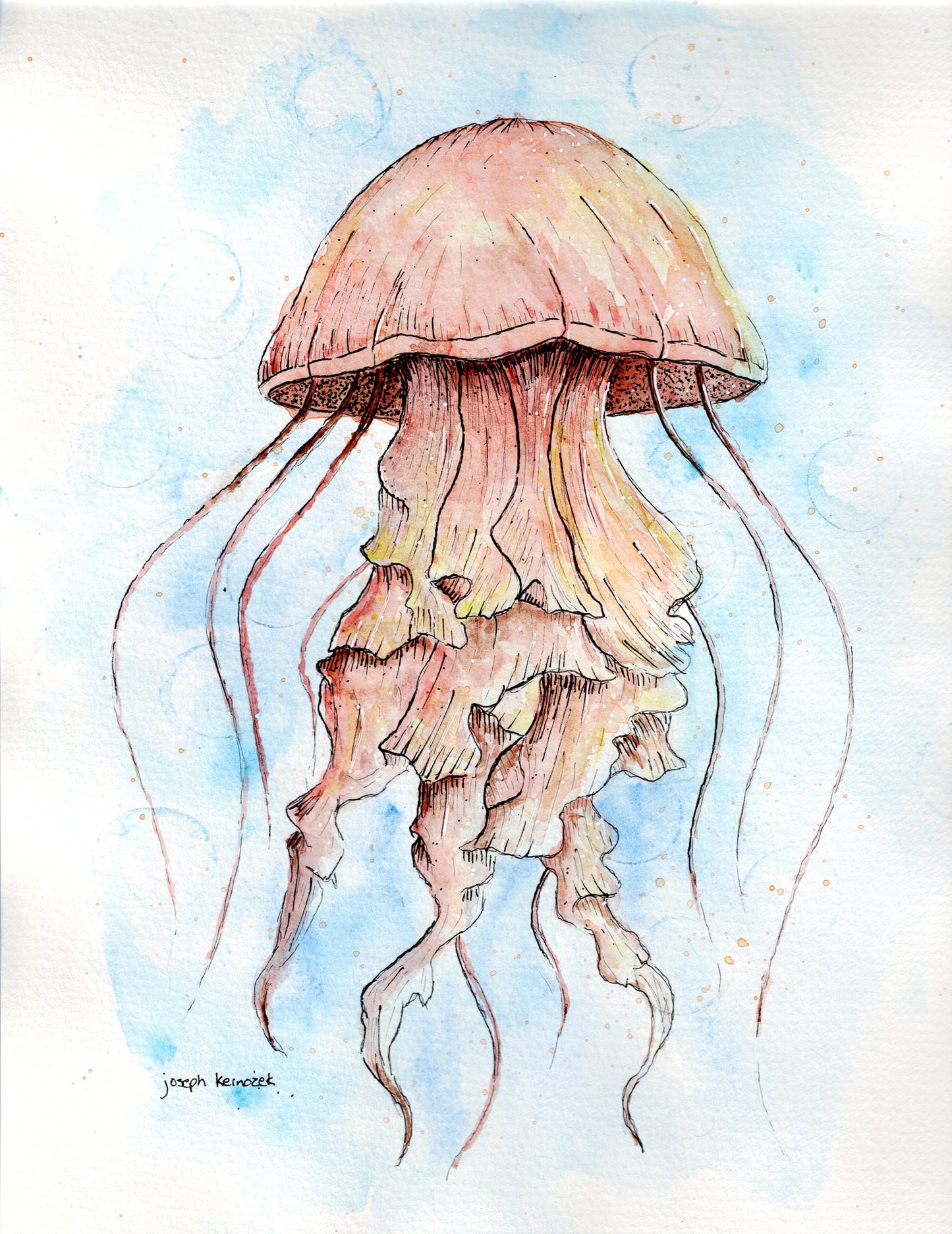 Jellyfish Commission