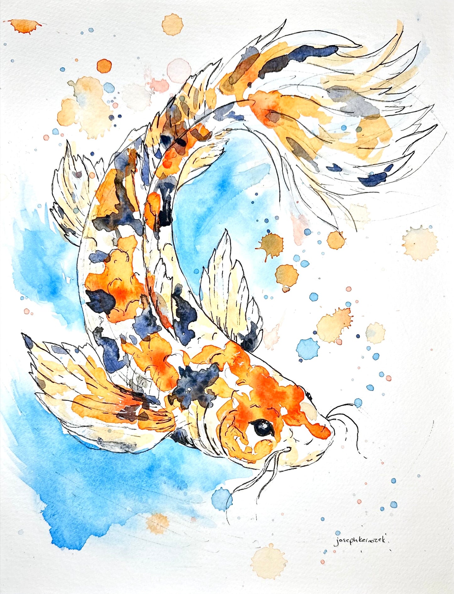 Koi Drift