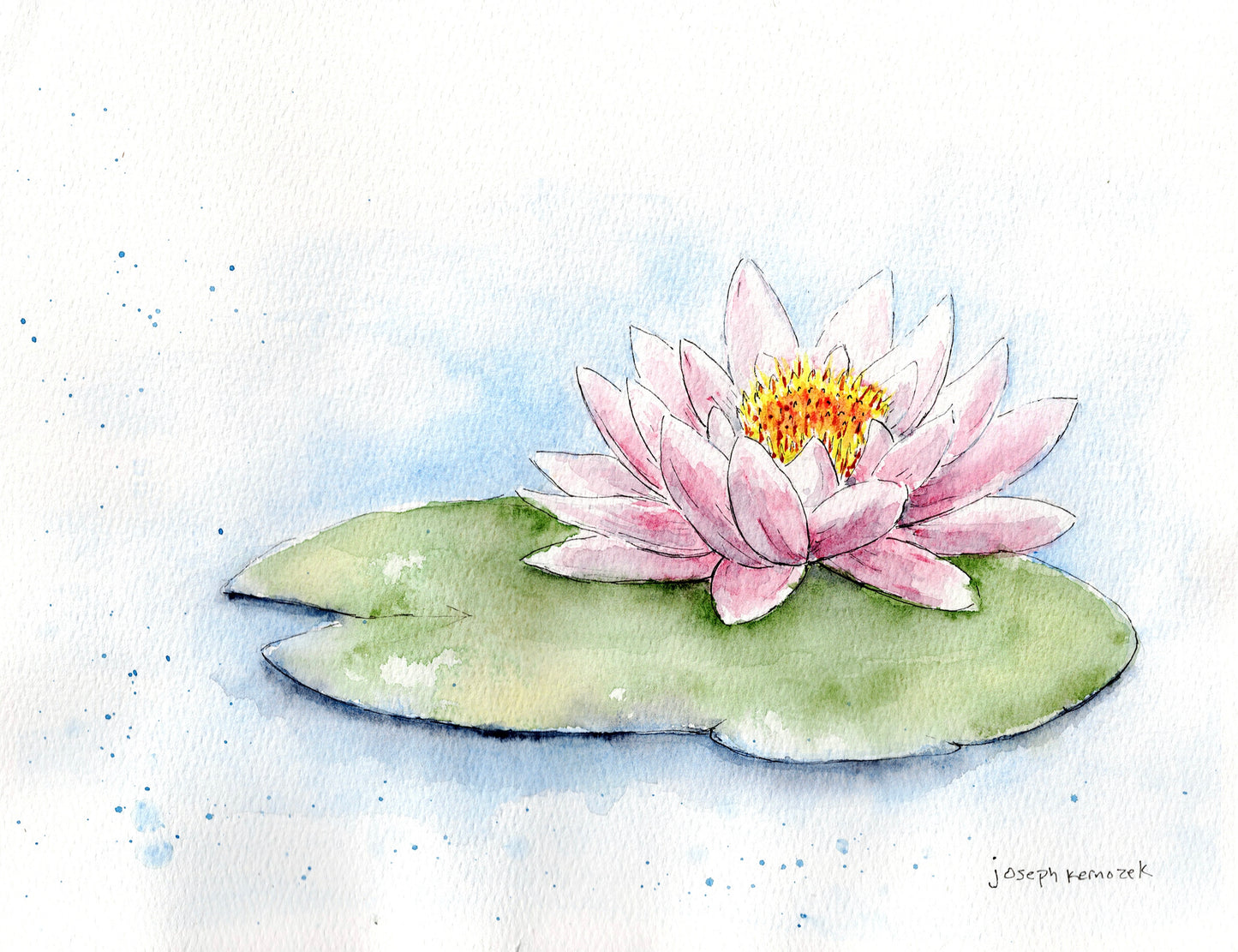 Water Lily Commission