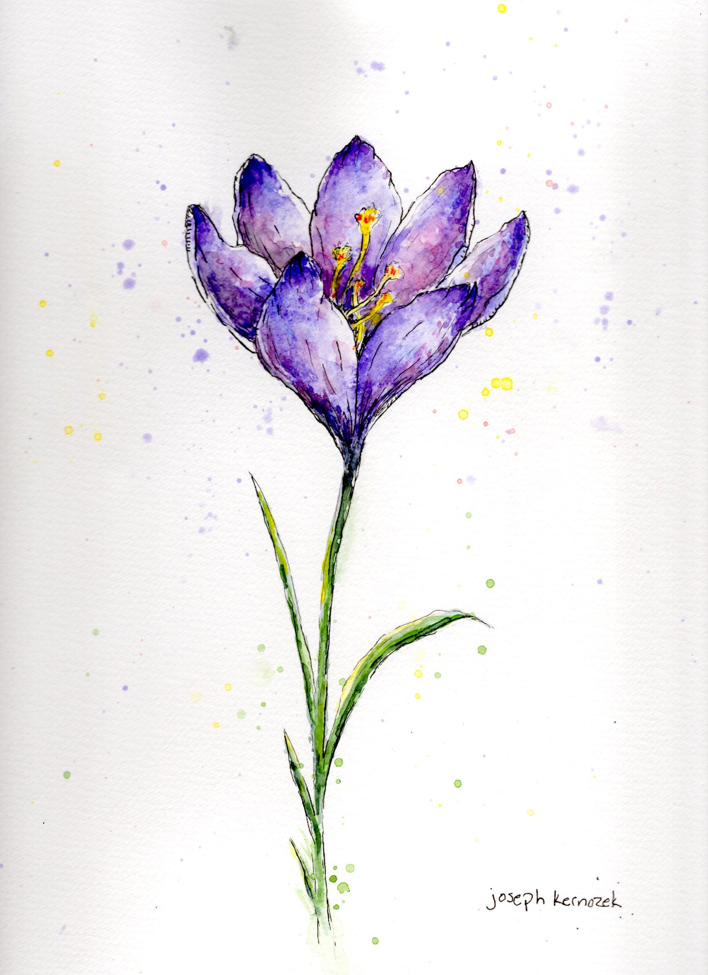 Tatra Crocus