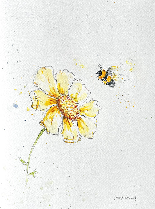 Pollen Dance