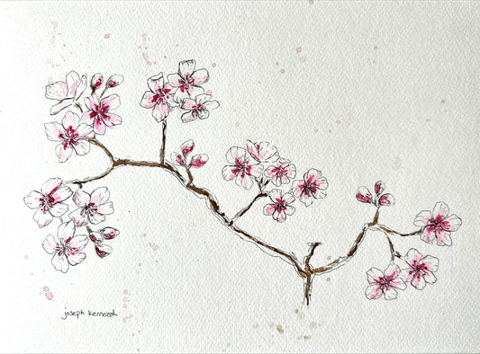 Cherry Blossom Branch