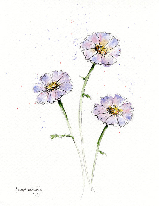 Cosmos Trio