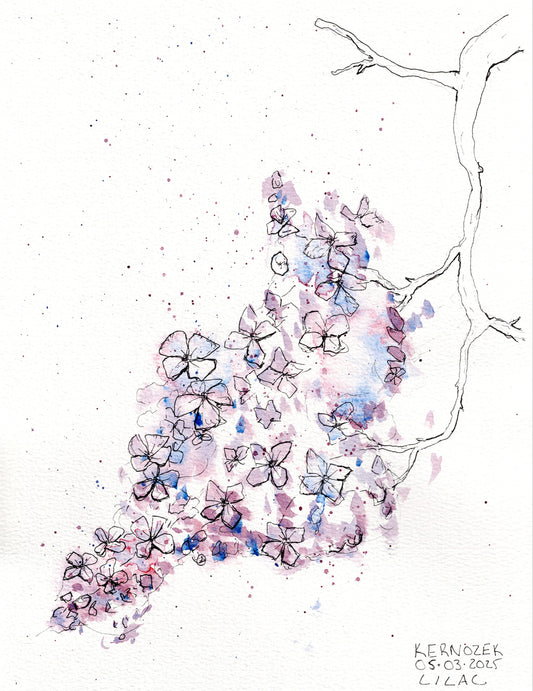 Lilac