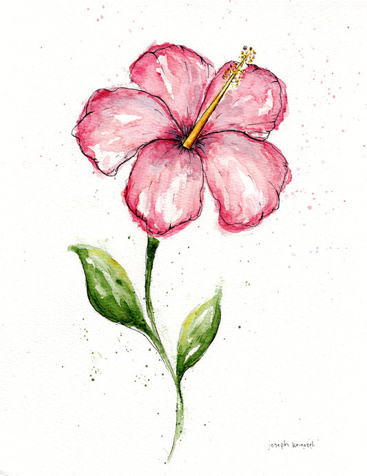 Hibiscus II