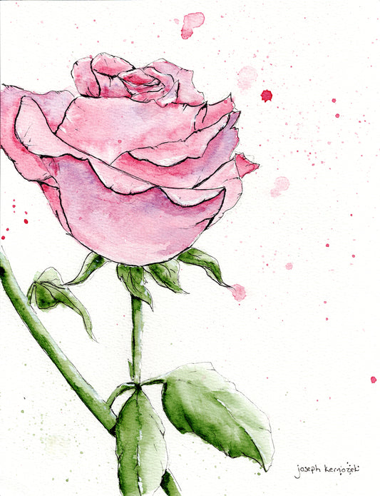Rose II