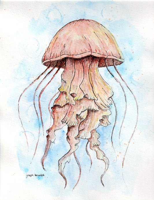 Jellyfish Commission