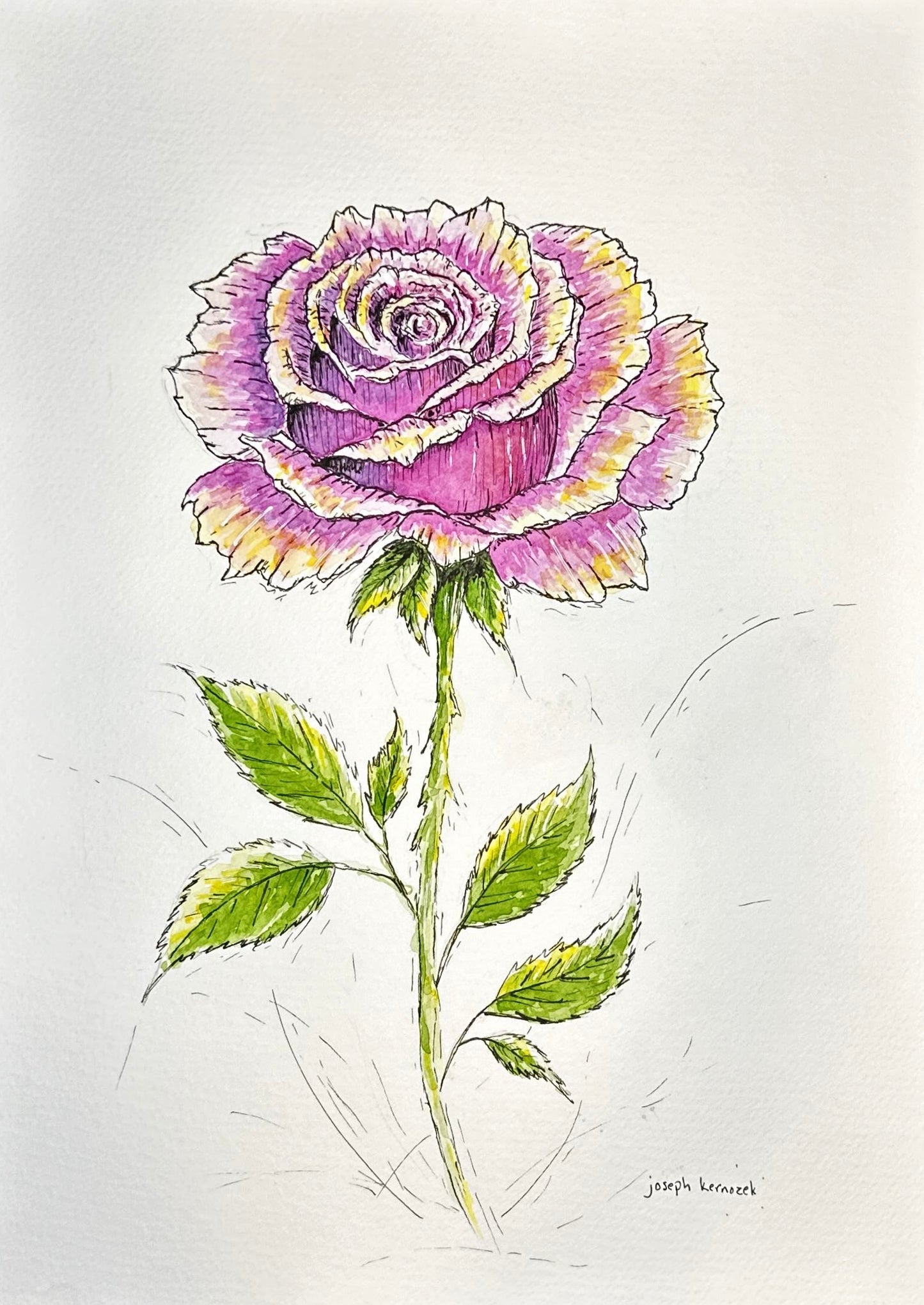 Amethyst Rose