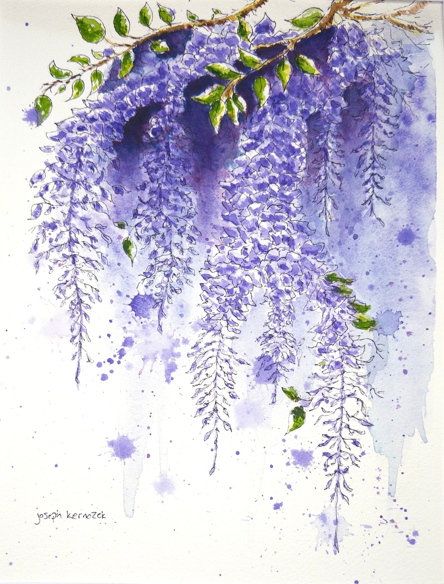Wisteria Cascade
