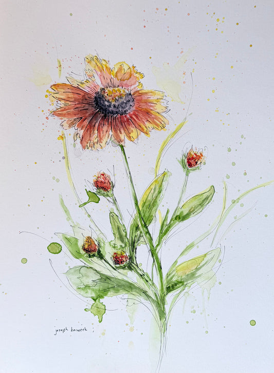 August Wildflower