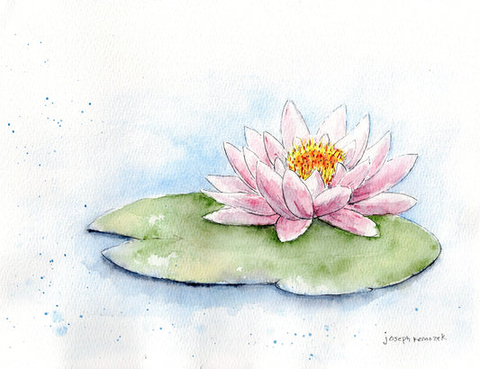 Water Lily Commission