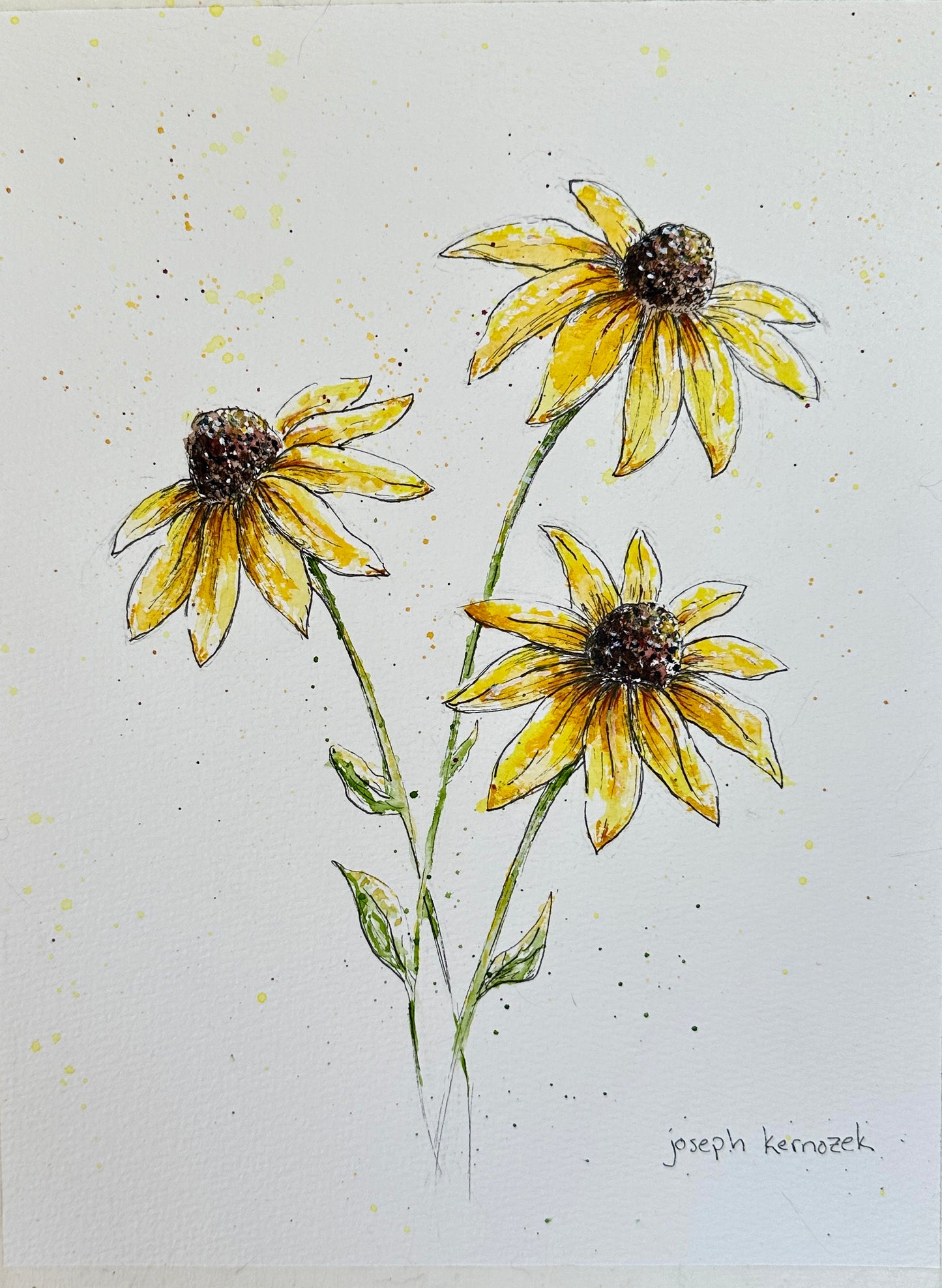 Black-eyed Susans Trio
