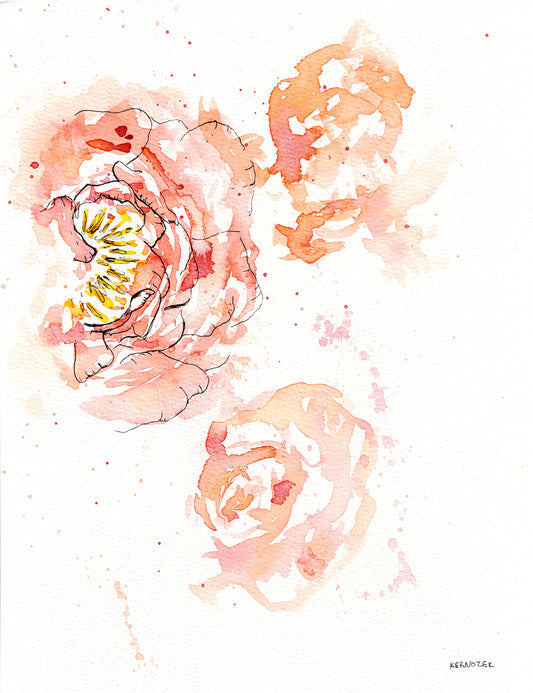 Peony