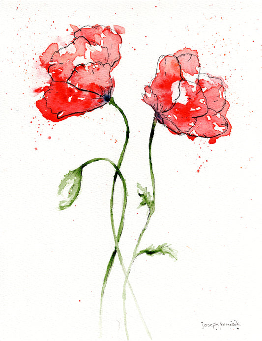 Poppies