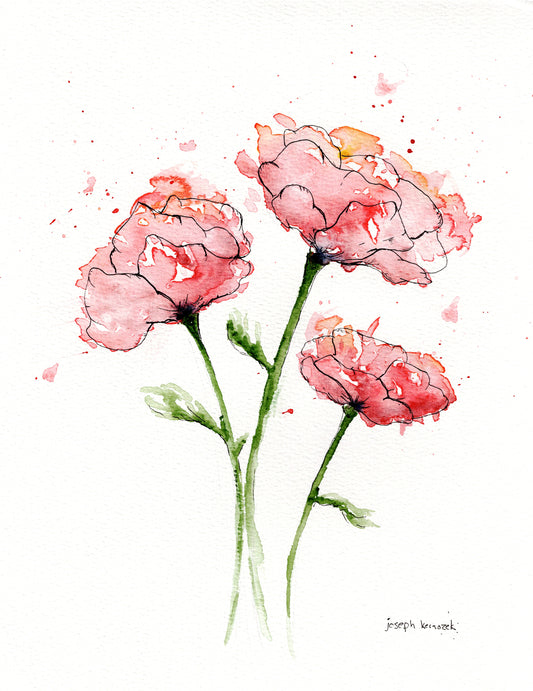 Poppies II